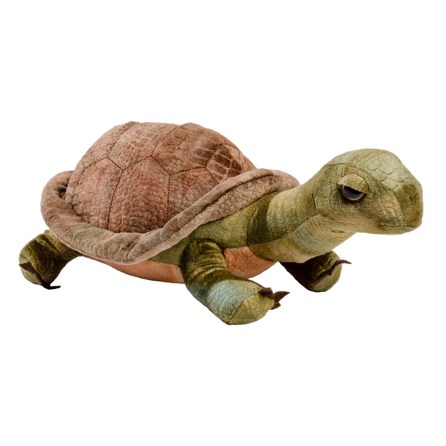 265219-DIEREN-DICHTBIJ-SCHILDPAD-HR